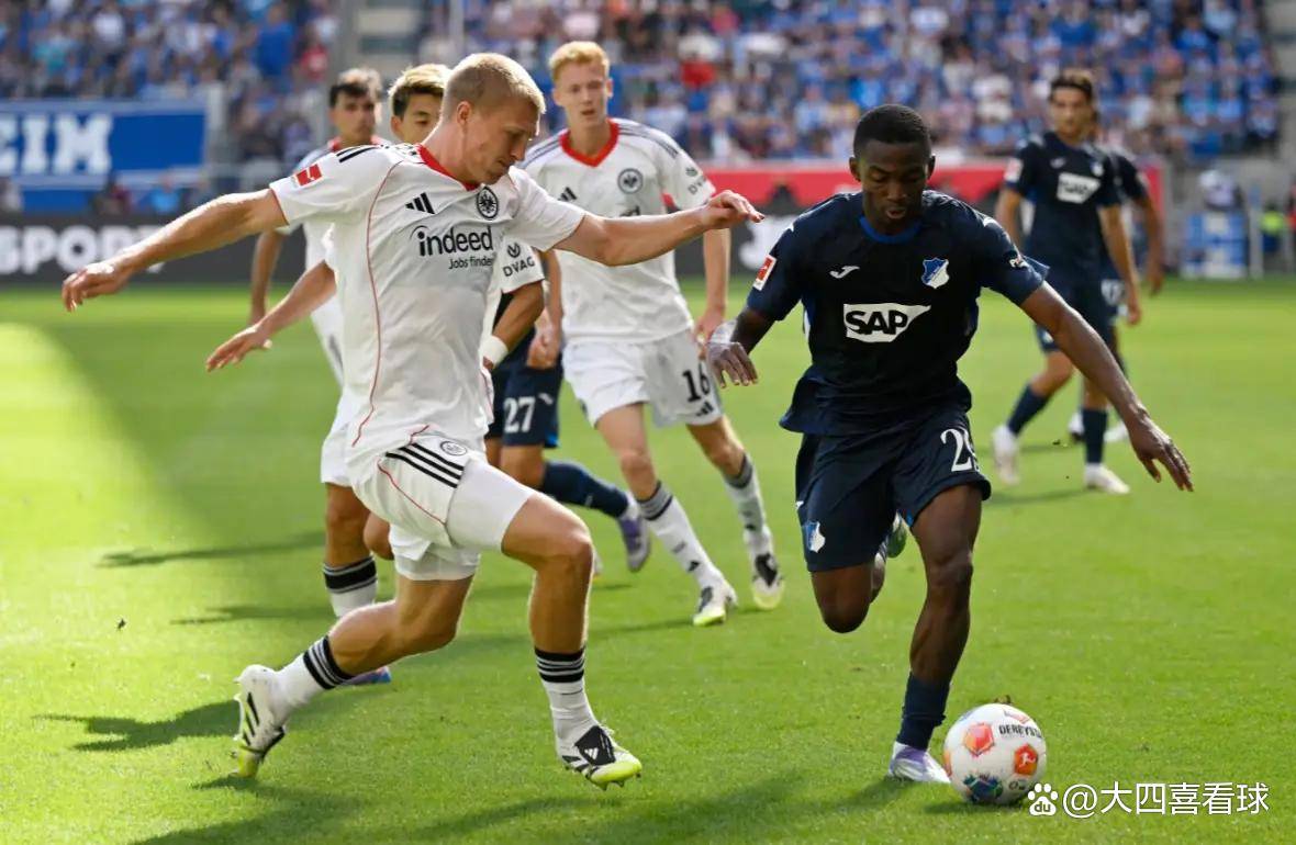 霍芬海姆将客场挑战对手，争取取得积分的简单介绍